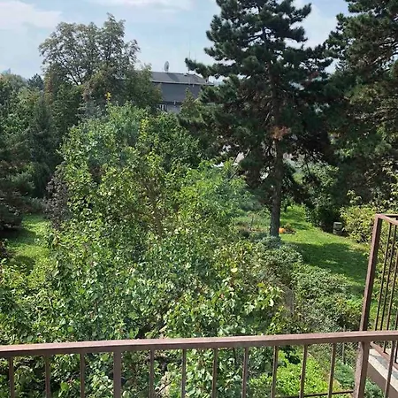 Penzion House Near Bvv-vystaviste *